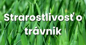 Chyby, ktorým sa vyhnúť pri starostlivosti o trávnik